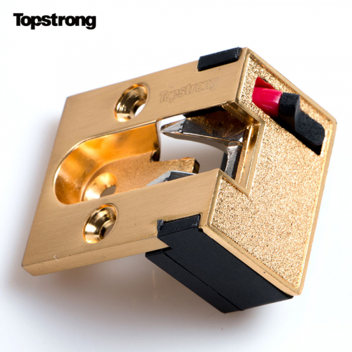 TopStrong cerniera porta silenziosa senza olio