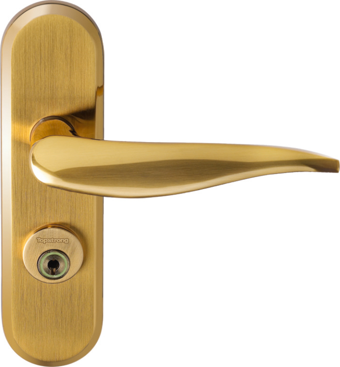 TopStrong Hengdian serratura porta interna acciaio inox