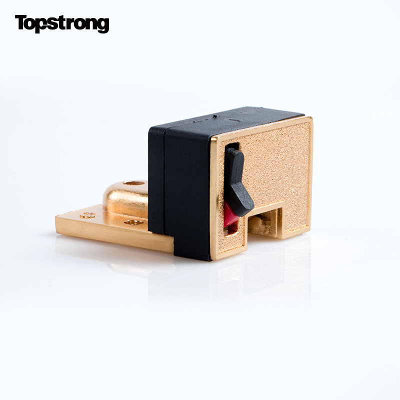 TopStrong AZZF3204-GB catenella sicurezza porta nascosta