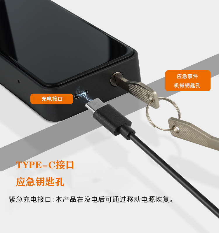 TopStrong 5552 serratura smart porta