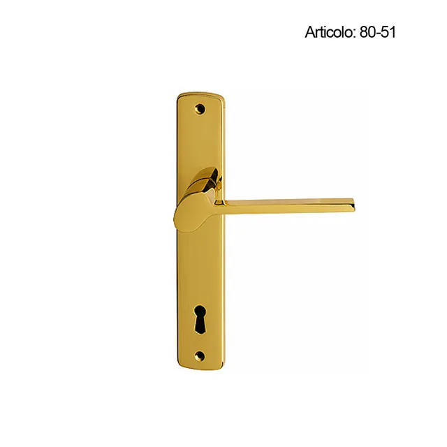Spinardi 80-51 Maniglia per Porte Compatibile Placca