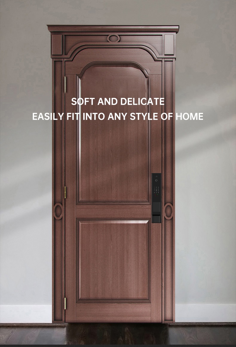 TopStrong WY213 serratura smart elettronica