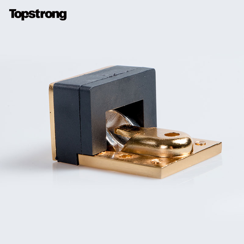 TopStrong AZZF3204-GB catenella sicurezza porta nascosta