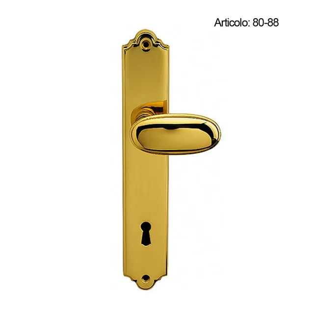 Spinardi 80-88 maniglia porta placca rosetta