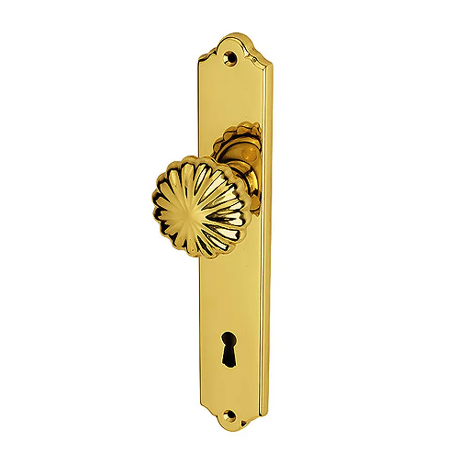 Spinardi 31-301 pomolo per porta su rosetta