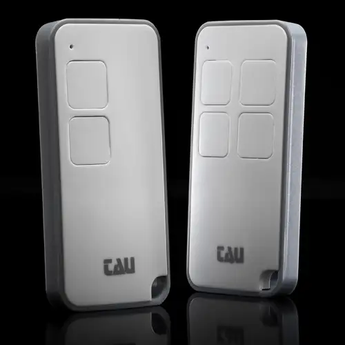 TAU SERIE S P-250S-2RP telecomando 2 canali rolling code