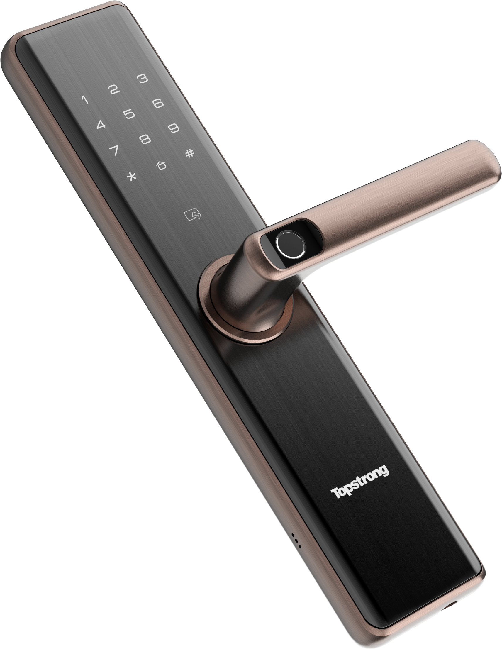 TopStrong W2 serratura smart alta sicurezza